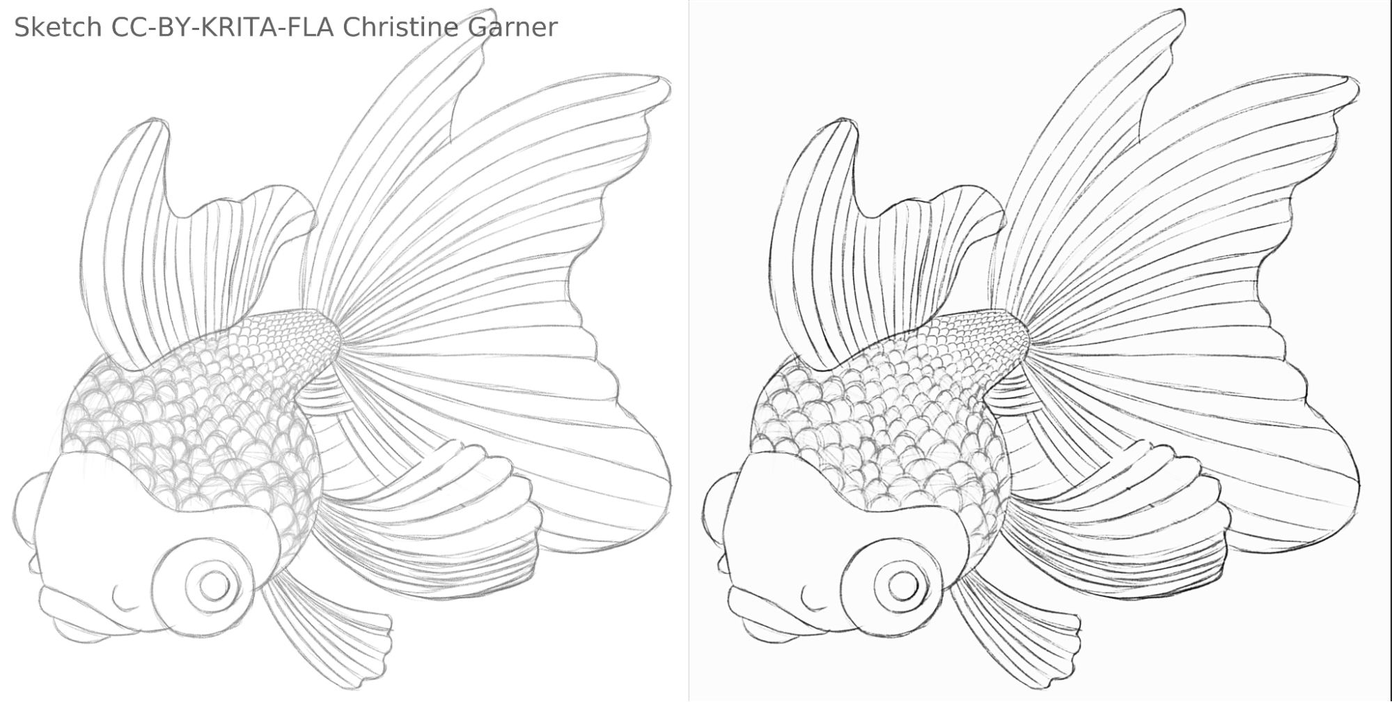 Branche Stable 5 2 10 prealpha 