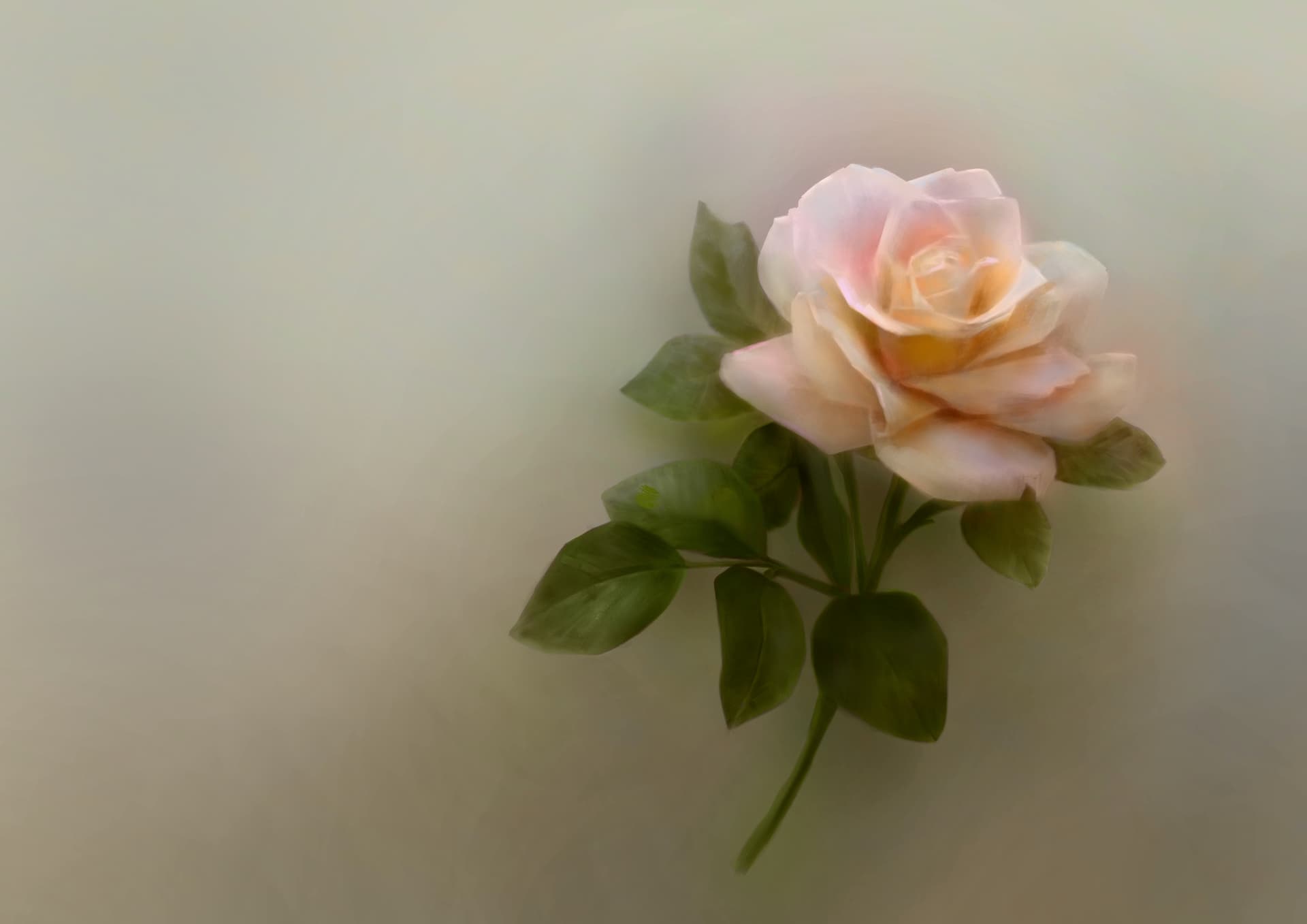 Flower by @yuheng_zhang